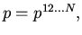 $p=p^{12...N},$