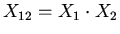 $X_{12}=X_{1}\cdot X_{2}$